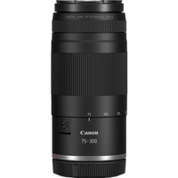 Canon EOS R100 Double Lens Zoom Kit 8