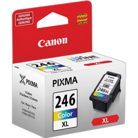 Canon CL-246 XL High Capacity Color Ink Cartridge 1