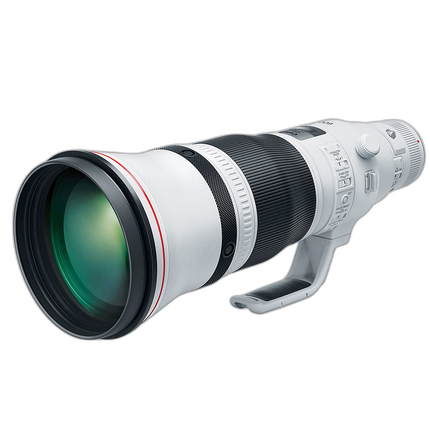 Canon EF 600mm f/4L IS III USM Lens