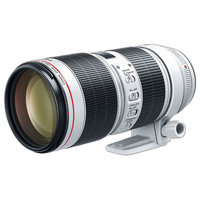 Canon EF 70-200mm f/2.8L IS III USM Lens