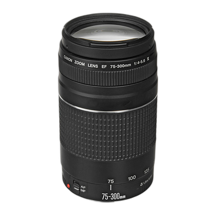 Canon EF 75-300mm f/4-5.6 III Telephoto Zoom Lens - Black