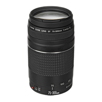 Canon EF 75-300mm f/4-5.6 III Telephoto Zoom Lens - Black 0