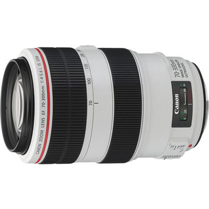 Canon EF 70-300mm f/4-5.6L IS USM Telephoto Zoom Lens - White