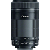 Canon EF-S 55-250mm f/4-5.6 IS STM Telephoto Lens - Black 1