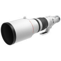 Canon RF 600mm F4 L IS USM Lens 3
