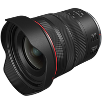 Canon RF14-35mm F4 L IS USM Lens 3