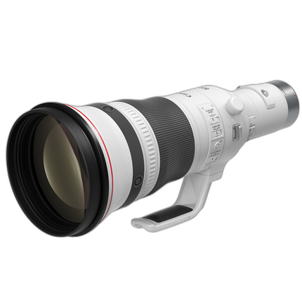 Canon RF 800mm f/5.6 L IS USM Lens