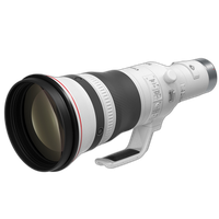 Canon RF 800mm f/5.6 L IS USM Lens 0