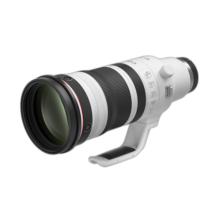 Canon RF 100-300mm f/2.8 L IS USM Lens