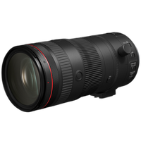 Canon RF 24-105mm f/2.8 L IS USM Z Lens 2