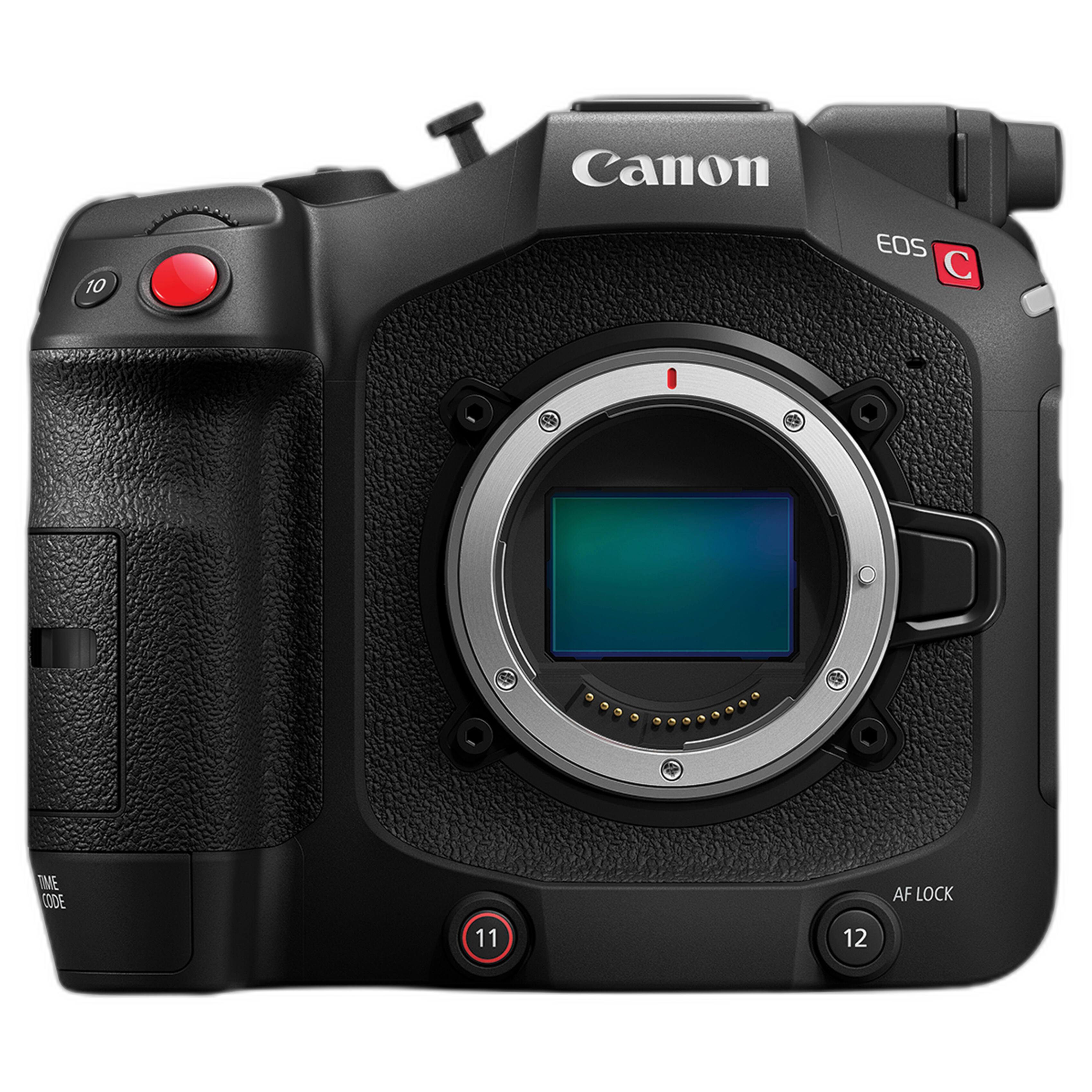 Canon EOS C80 Digital Cinema Camera (RF Lens Mount)