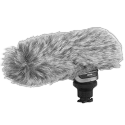 Canon DM-100 Directional Stereo Microphone