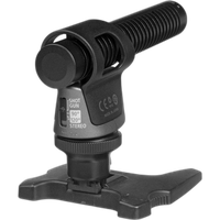 Canon DM-100 Directional Stereo Microphone 2