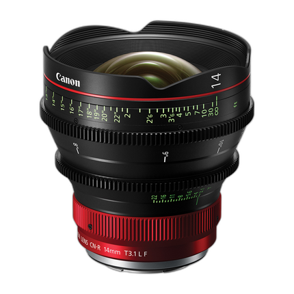 Canon CN-R 14mm T3.1 L F Cinema Prime Lens (Canon RF)