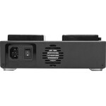 Core SWX Fleet D Gold Mount 2-Bay Charger 2