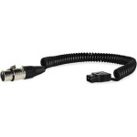 Core SWX Coiled D-Tap Cable for 4-Pin XLR Devices 0