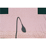 dubblefilm Bubblegum ISO 200 35mm 36exp C-41 1