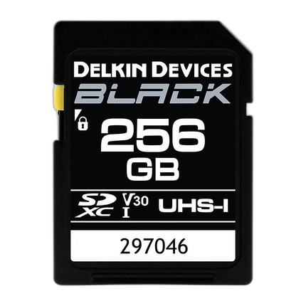 Delkin Devices 256GB SDXC Black UHS-I V30 U3 90MB/s Read 90MB/s Write