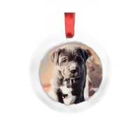 Ceramic Disc Ornament 0