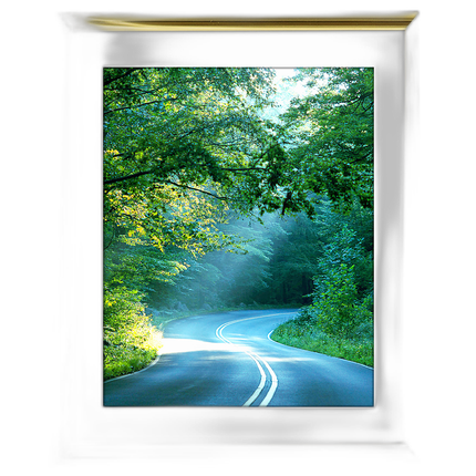 11x14 Custom Gold Metal Frame, White Mat with Glass