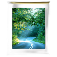 11x14 Custom Gold Metal Frame, White Mat with Glass 0