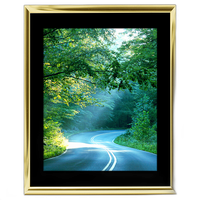 11x14 Custom Gold Metal Frame, Black Mat with Glass 0