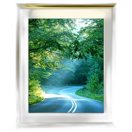 11x14 Custom Gold Metal Frame, Off-White Mat with Glass