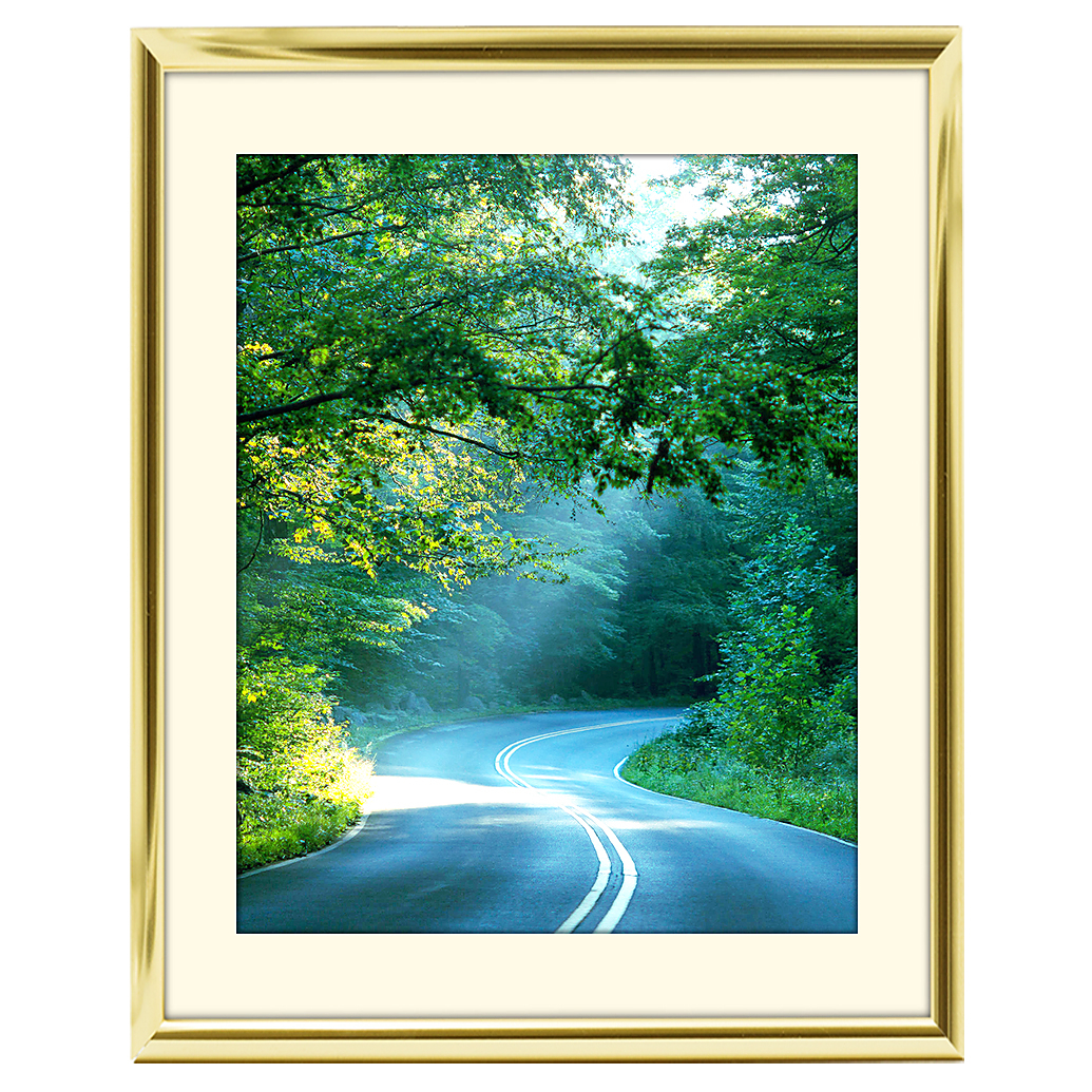 11x14 Custom Gold Metal Frame, Off-White Mat with Glass