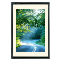 12x18 Custom Black Metal Frame, Off-White Mat with Glass 0
