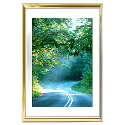 12x18 Custom Gold Metal Frame, White Mat with Glass