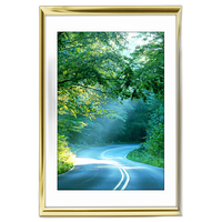 12x18 Custom Gold Metal Frame, White Mat with Glass 0