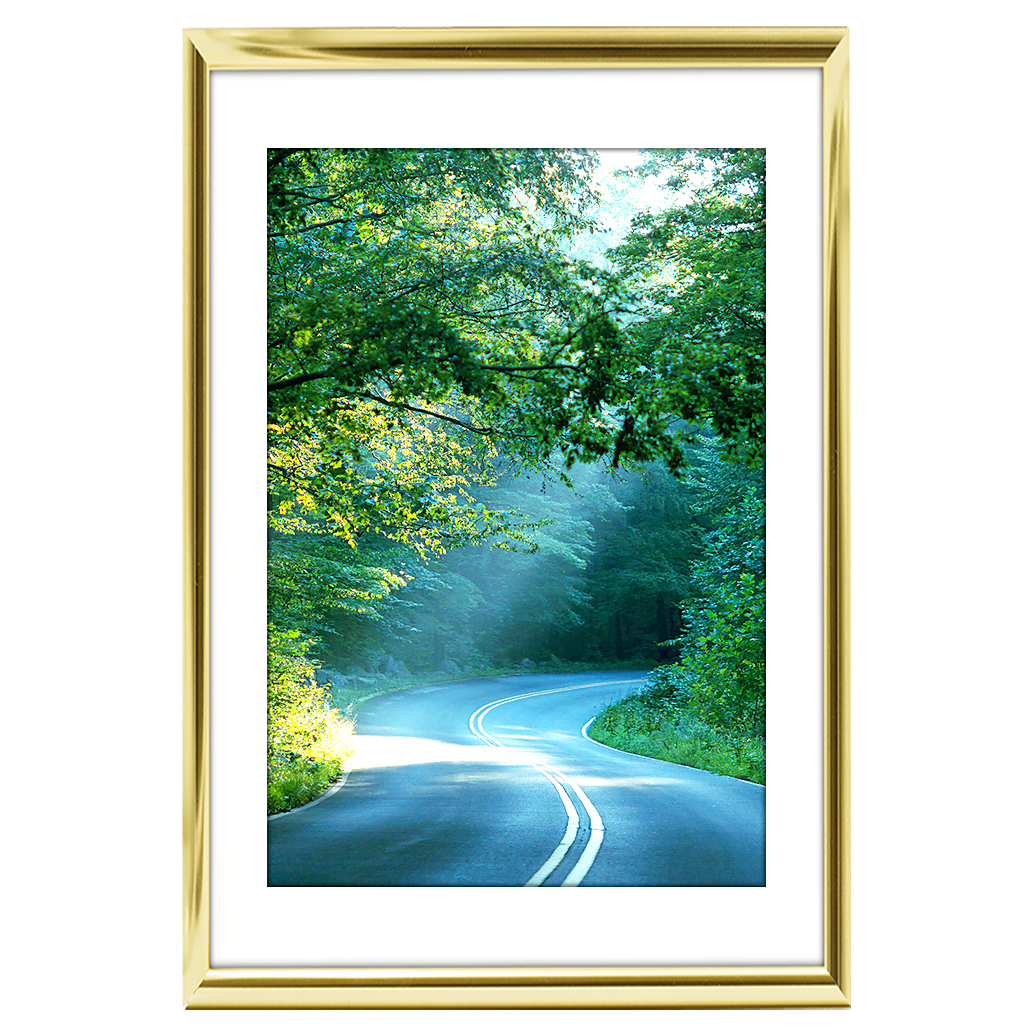 12x18 Custom Gold Metal Frame, White Mat with Glass