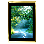 12x18 Custom Gold Metal Frame, Black Mat with Glass 0