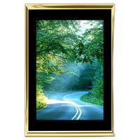 12x18 Custom Gold Metal Frame, Black Mat with Glass 0