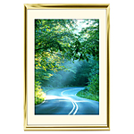 12x18 Custom Gold Metal Frame, Off-White Mat with Glass 0