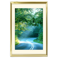 12x18 Custom Gold Metal Frame, Off-White Mat with Glass 0