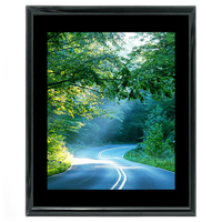 16x20 Custom Black Metal Frame, Black Mat with Glass 0