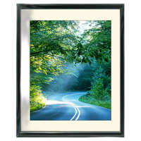 16x20 Custom Black Metal Frame, Off-White Mat with Glass 0