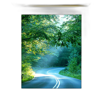 16x20 Custom Gold Metal Frame, White Mat with Glass