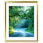 16x20 Custom Gold Metal Frame, White Mat with Glass 0