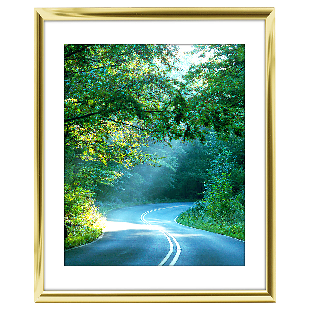 16x20 Custom Gold Metal Frame, White Mat with Glass