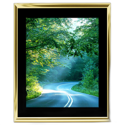 16x20 Custom Gold Metal Frame, Black Mat with Glass