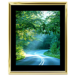 16x20 Custom Gold Metal Frame, Black Mat with Glass 0