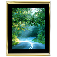 16x20 Custom Gold Metal Frame, Black Mat with Glass 0