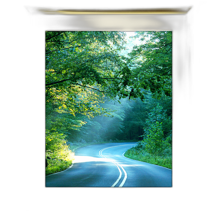 16x20 Custom Gold Metal Frame, Off-White Mat with Glass