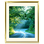 16x20 Custom Gold Metal Frame, Off-White Mat with Glass 0