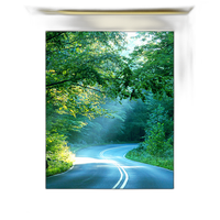 16x20 Custom Gold Metal Frame, Off-White Mat with Glass 0