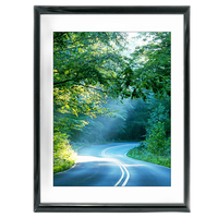 18x24 Custom Black Metal Frame, White Mat with Glass 0
