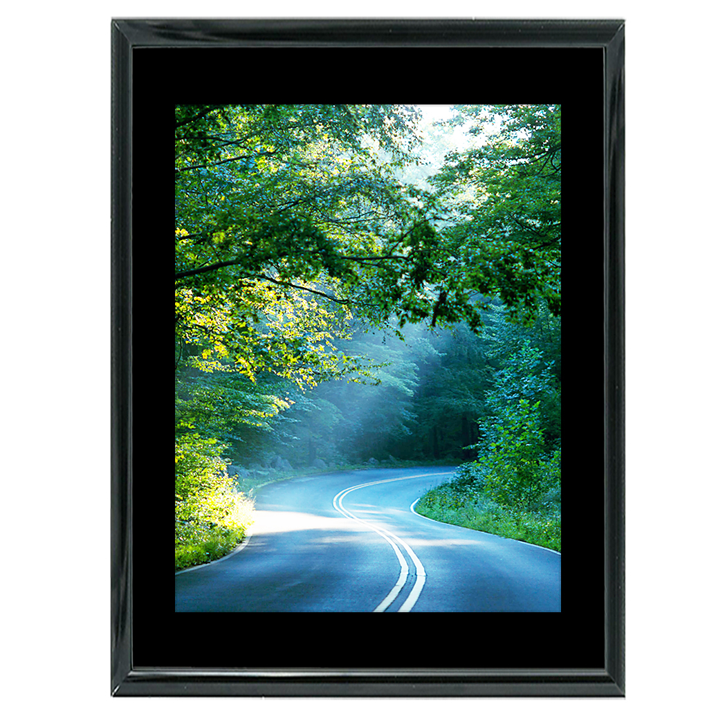 18x24 Custom Black Metal Frame, Black Mat with Glass