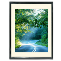 18x24 Custom Black Metal Frame, Off-White Mat with Glass 0